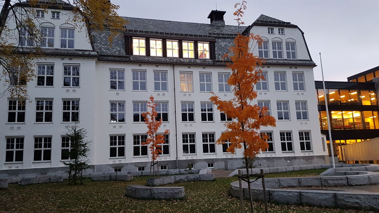 Jugend i haustfargar.jpg